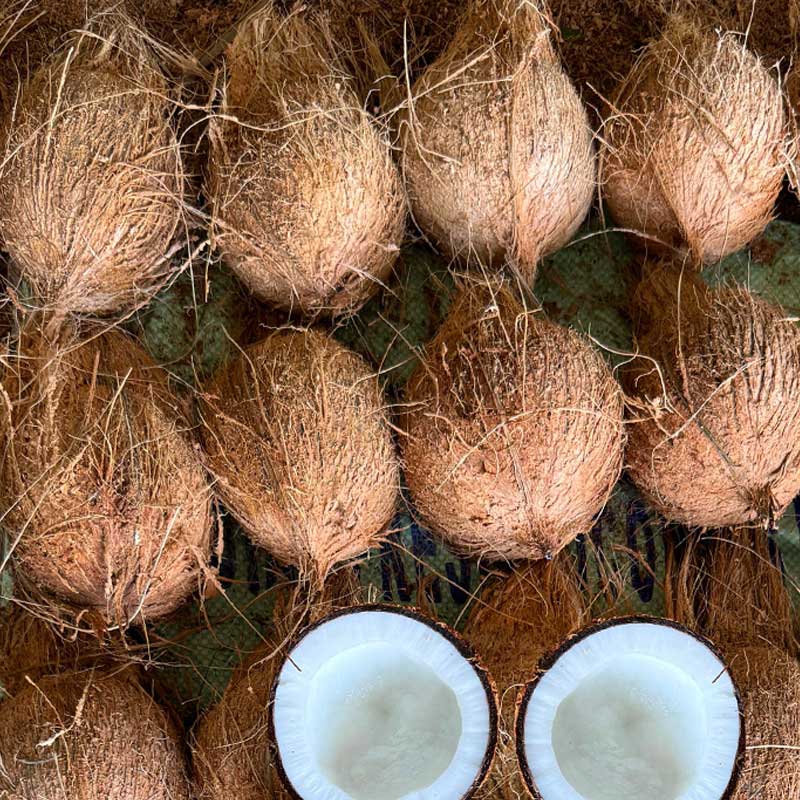 Coconut