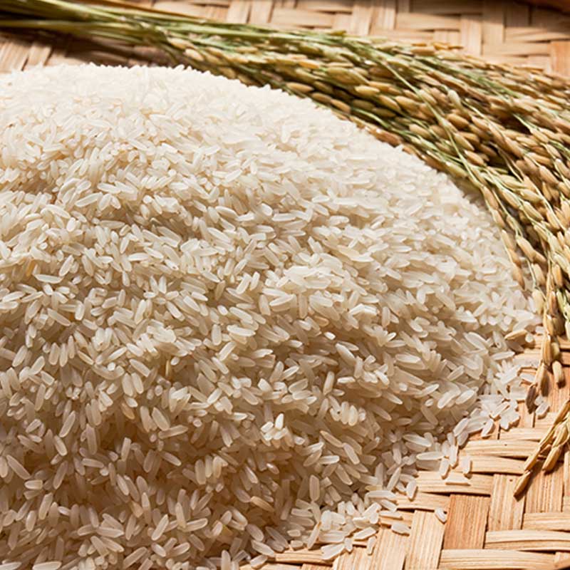 Rice